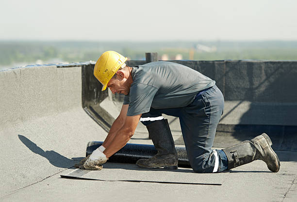 Best Specialized Insulation Services in St Paul, NE