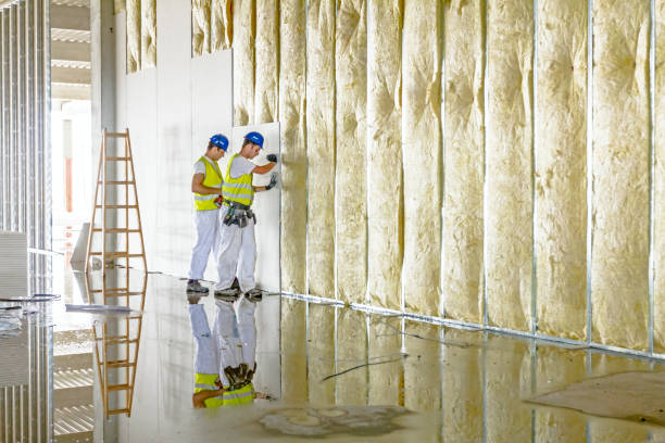 Types of Insulation We Offer in St Paul, NE